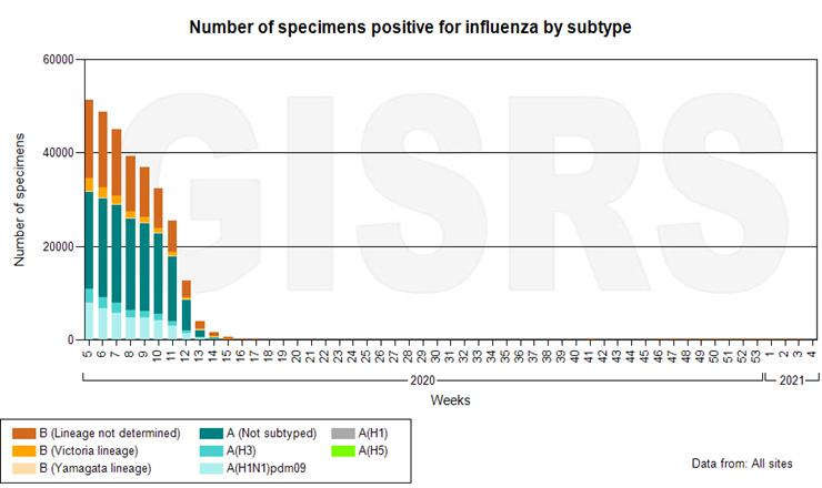 Według danych WHO oficjalnie grypy już nie ma